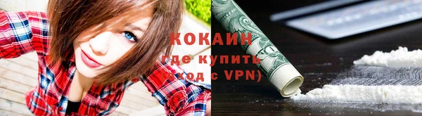 хмурый Бородино