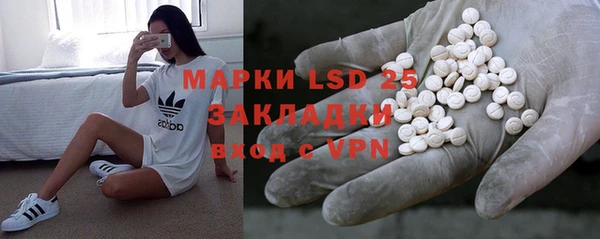 хмурый Бородино