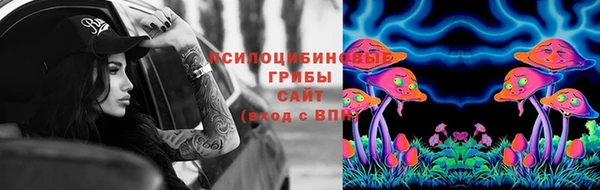 хмурый Бородино