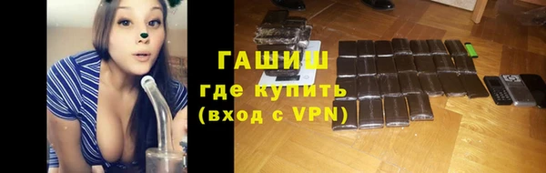 хмурый Бородино