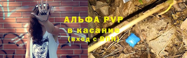 хмурый Бородино