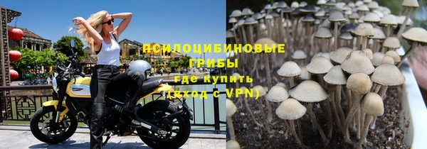 хмурый Бородино