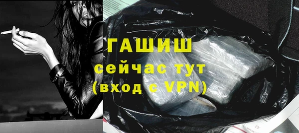 хмурый Бородино